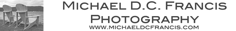 Michael DC Francis